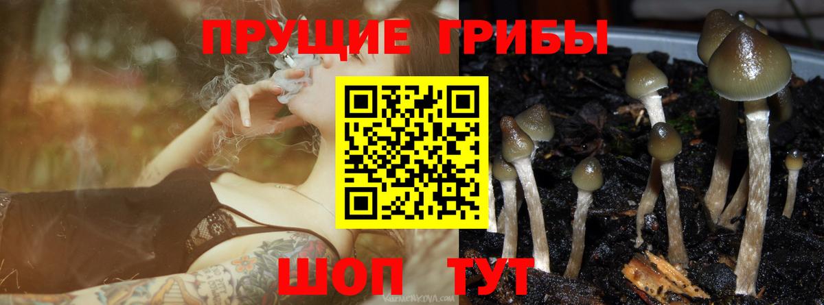Качканар  Галлюциногенные грибы мицелий  Вход с VPN 
